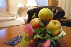 Быстрица Люкс 10