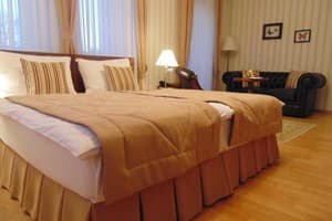 Быстрица Люкс 9