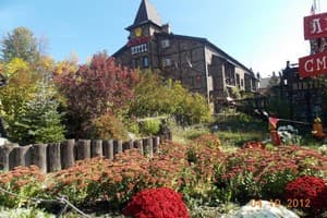 Черный замок 1