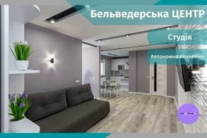 Luxury apartment Belvedere in the city center 1