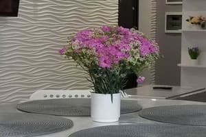 Квартира Luxury apartment Belvedere in the city center. Апартаменты 4-местный  10