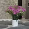 Квартира Luxury apartment Belvedere in the city center. Апартаменты 4-местный +2 10