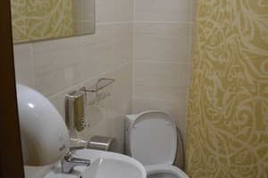 Под Фикусом 6